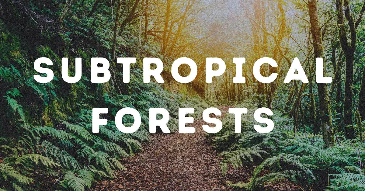 Subtropical Forests.webp