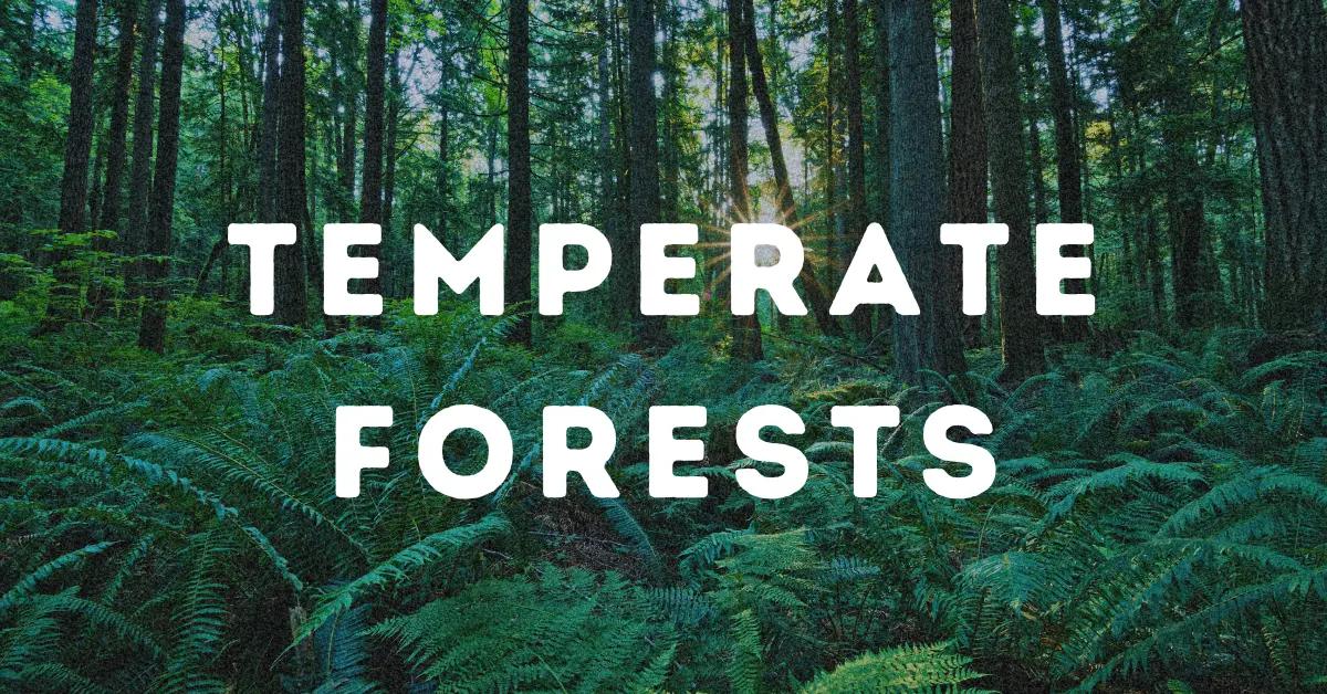 Temperate Forests.webp