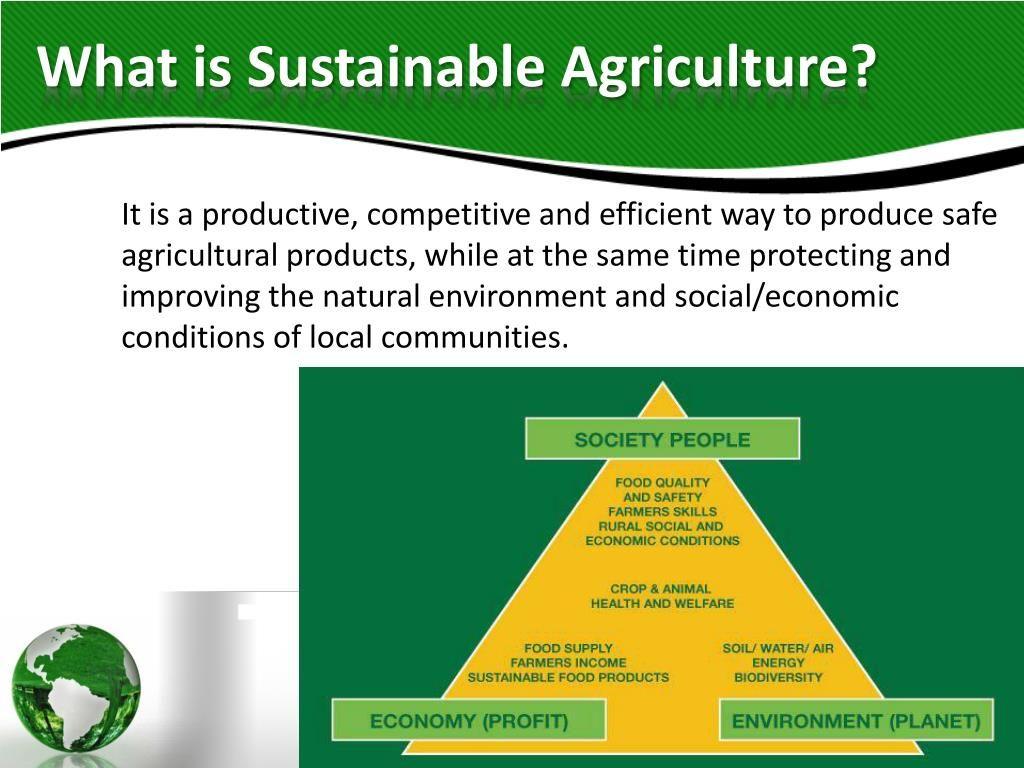 what-is-sustainable-agriculture-l.jpg