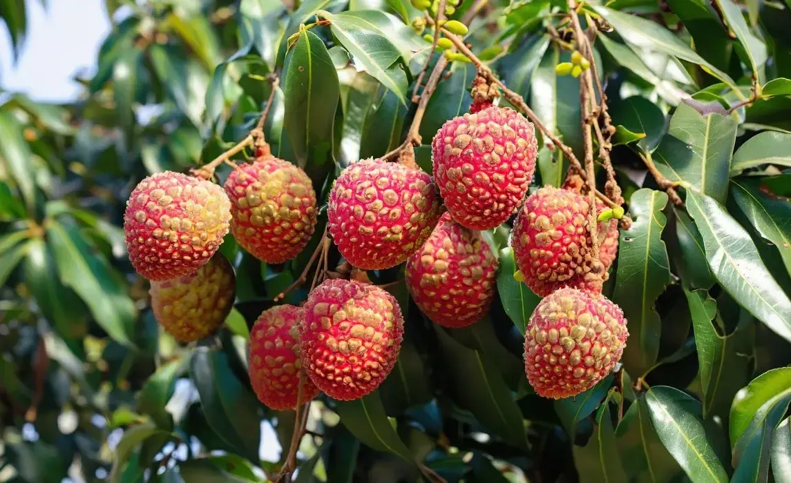 666b4f2699cf8a2d6ca03883_Article Main Image.webp