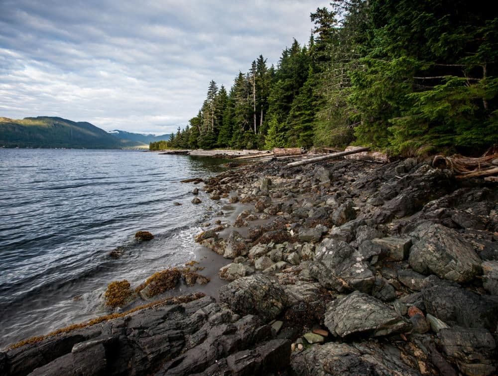 AK_Tongass_NF_NelsonGuda_080809_03_0.jpg