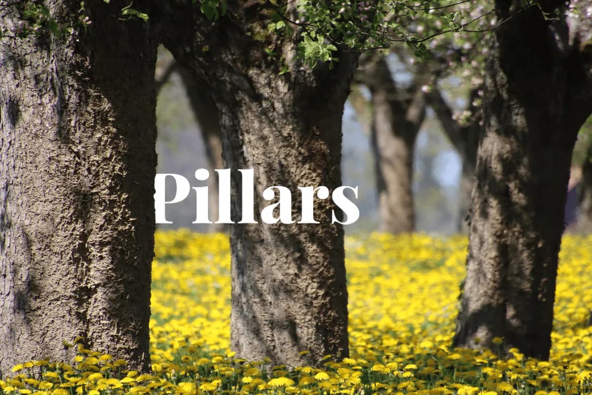 All you need to know about the 3 pillars of corporate sustainability.webp