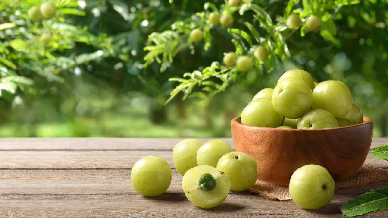 Amla.webp