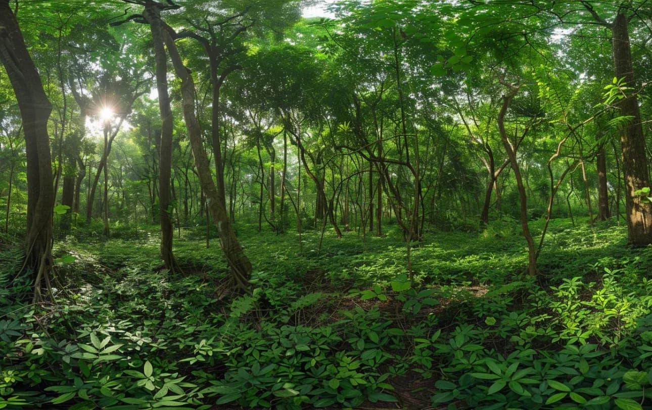 CID Bio-Science.webp