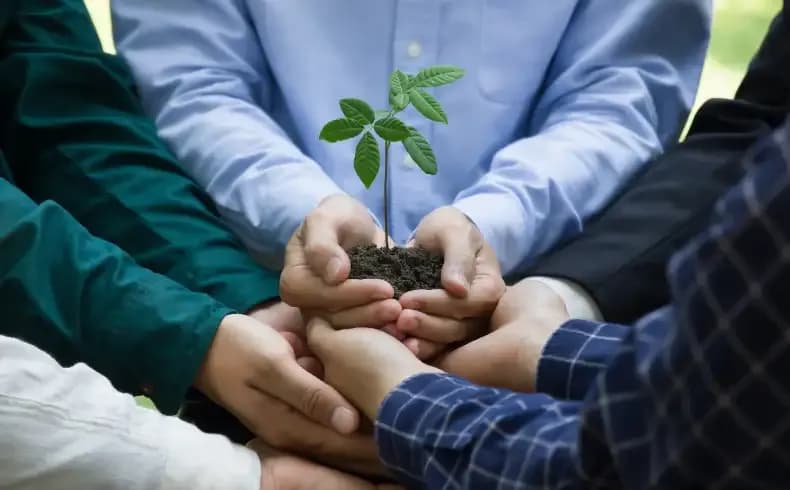 CSR BLOG IMAGE.webp