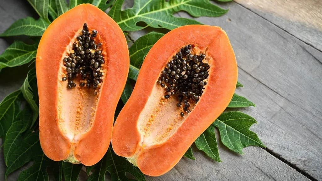 Eating-Papaya-Benefits-Papaya-Enzyme-Seeds_1024x1024.webp