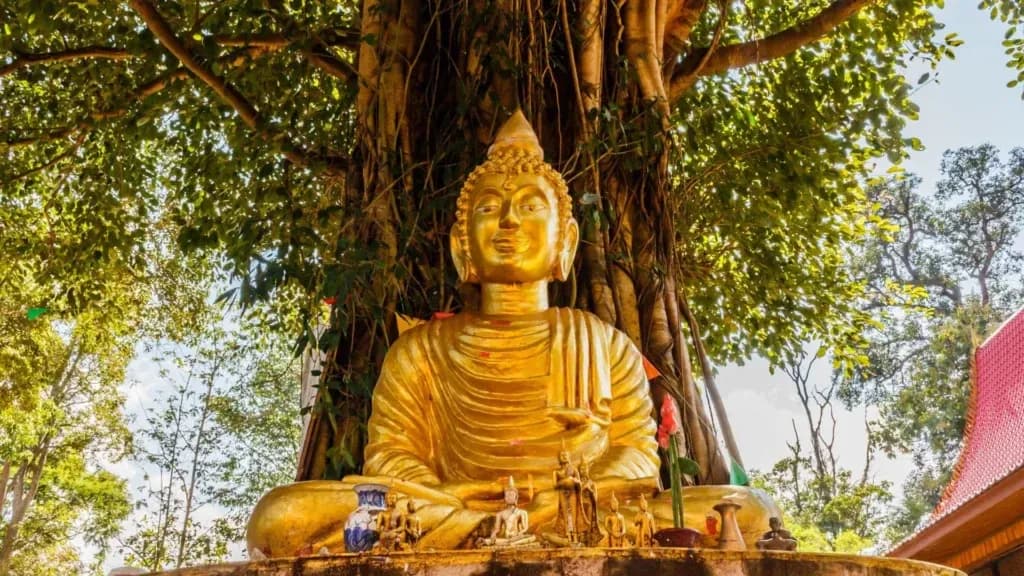 GROW-BILLION-TREES-BODHI-TREE_1e240eba-86dc-487d-a558-ef3dcfb2e569.webp