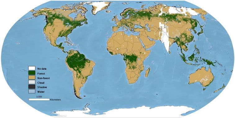 Global-distribution-of-forest-cover-circa-1990.png