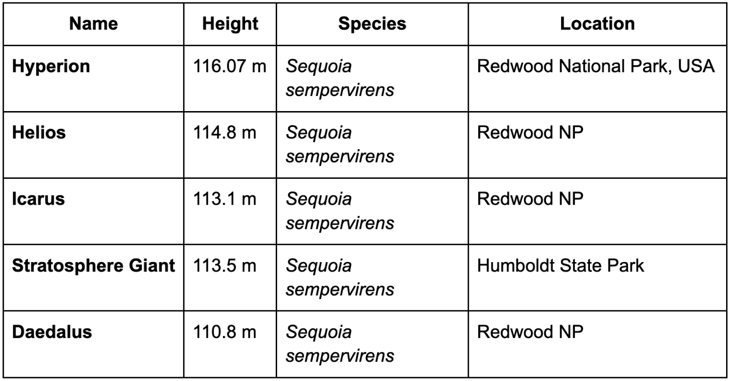 Screenshot 2025-10-28 at 11.58.03 PM.png