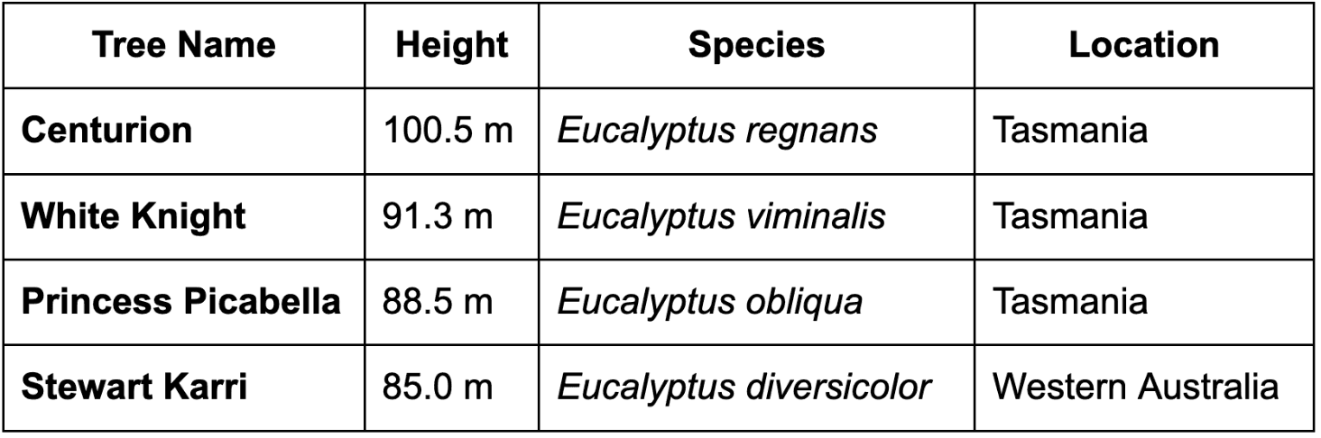 Screenshot 2025-10-28 at 11.59.54 PM.png