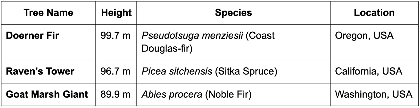 Screenshot 2025-10-29 at 12.00.46 AM.png