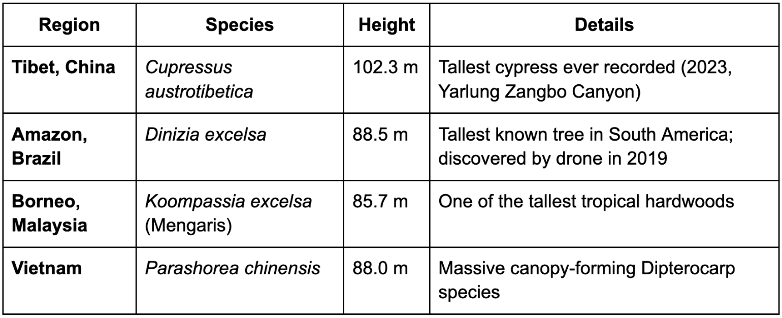 Screenshot 2025-10-29 at 12.03.03 AM.png