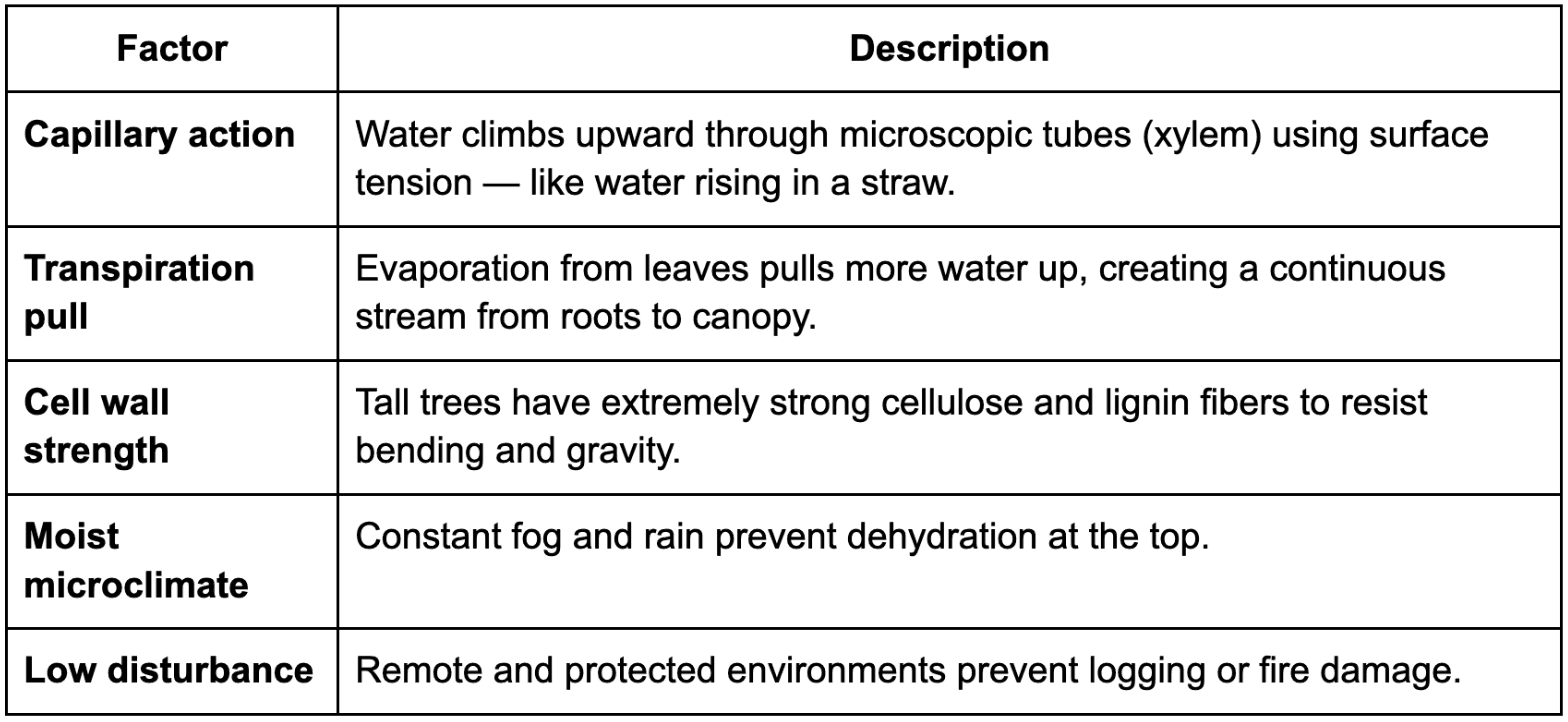 Screenshot 2025-10-29 at 12.04.11 AM.png