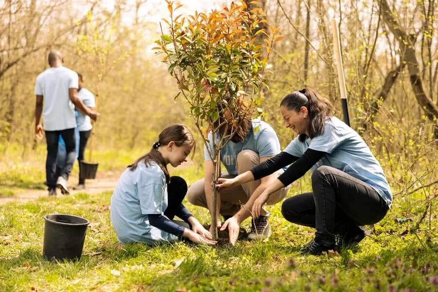 The Importance of Trees. - The Lifelines of Our Planet.webp