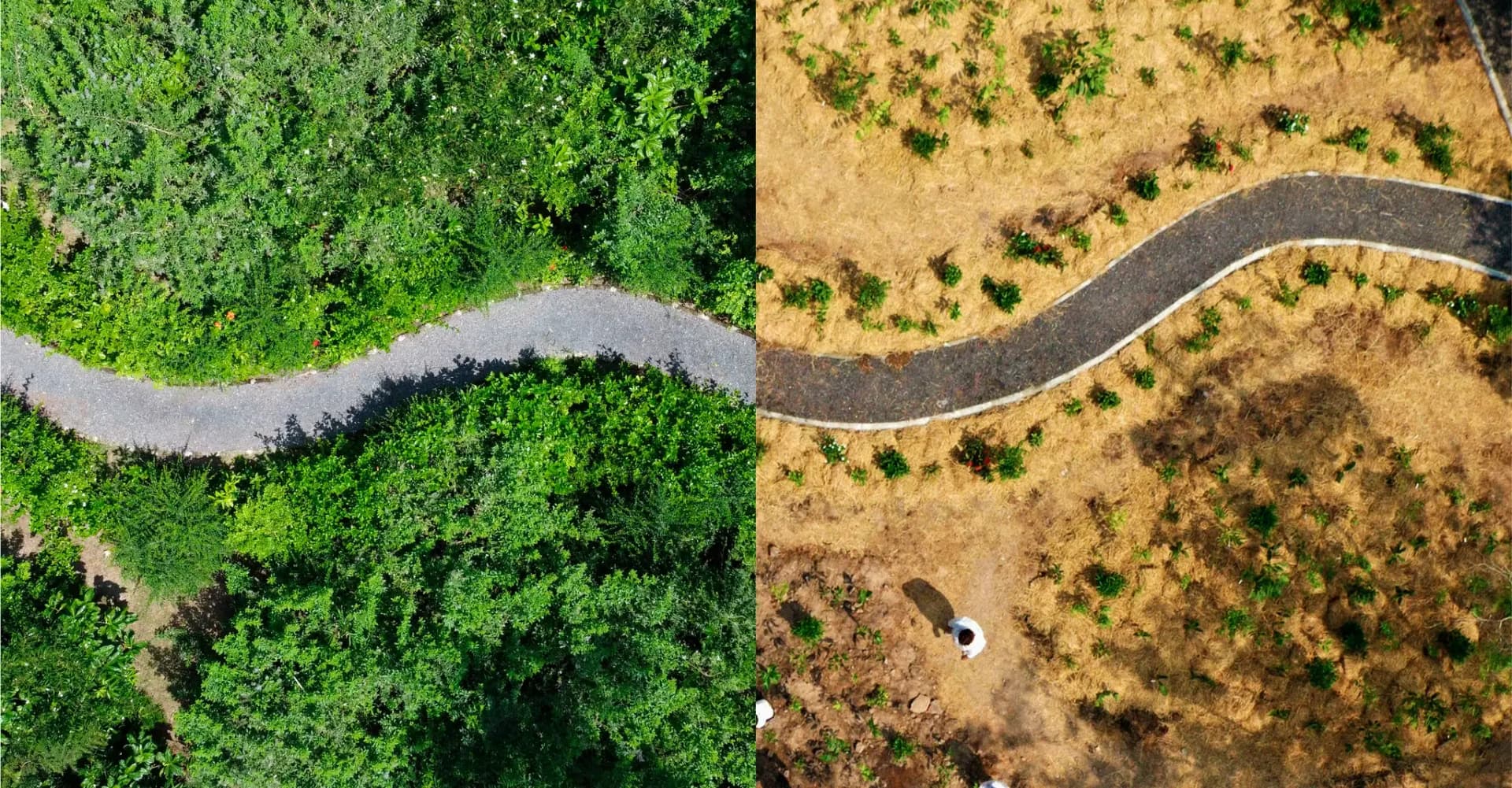 The future of urban greenery