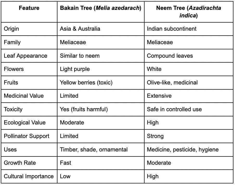 WhatsApp Image 2026-04-01 at 12.28.46 PM.jpeg