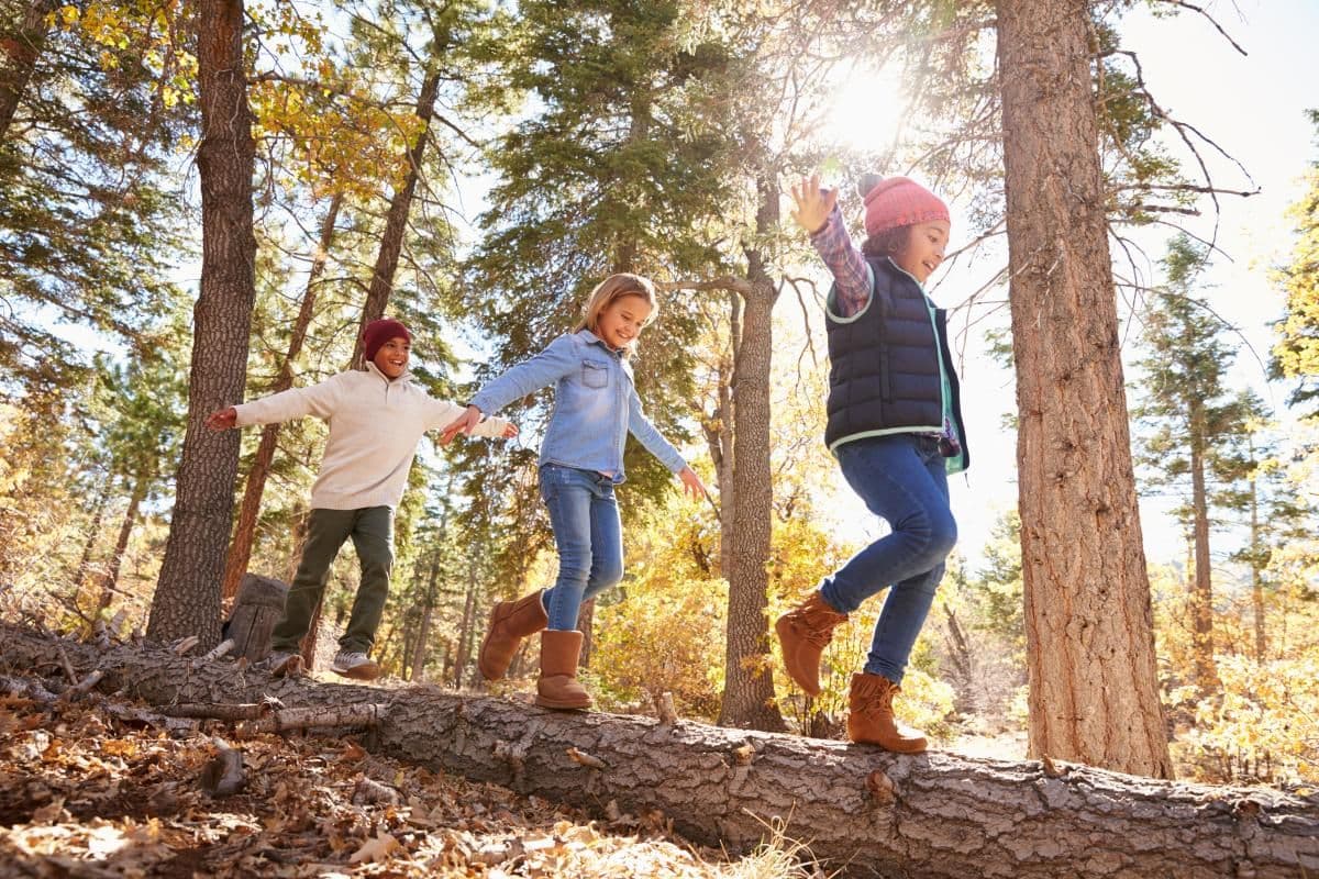 children_playing_on_a_log_shutterstock.jpg
