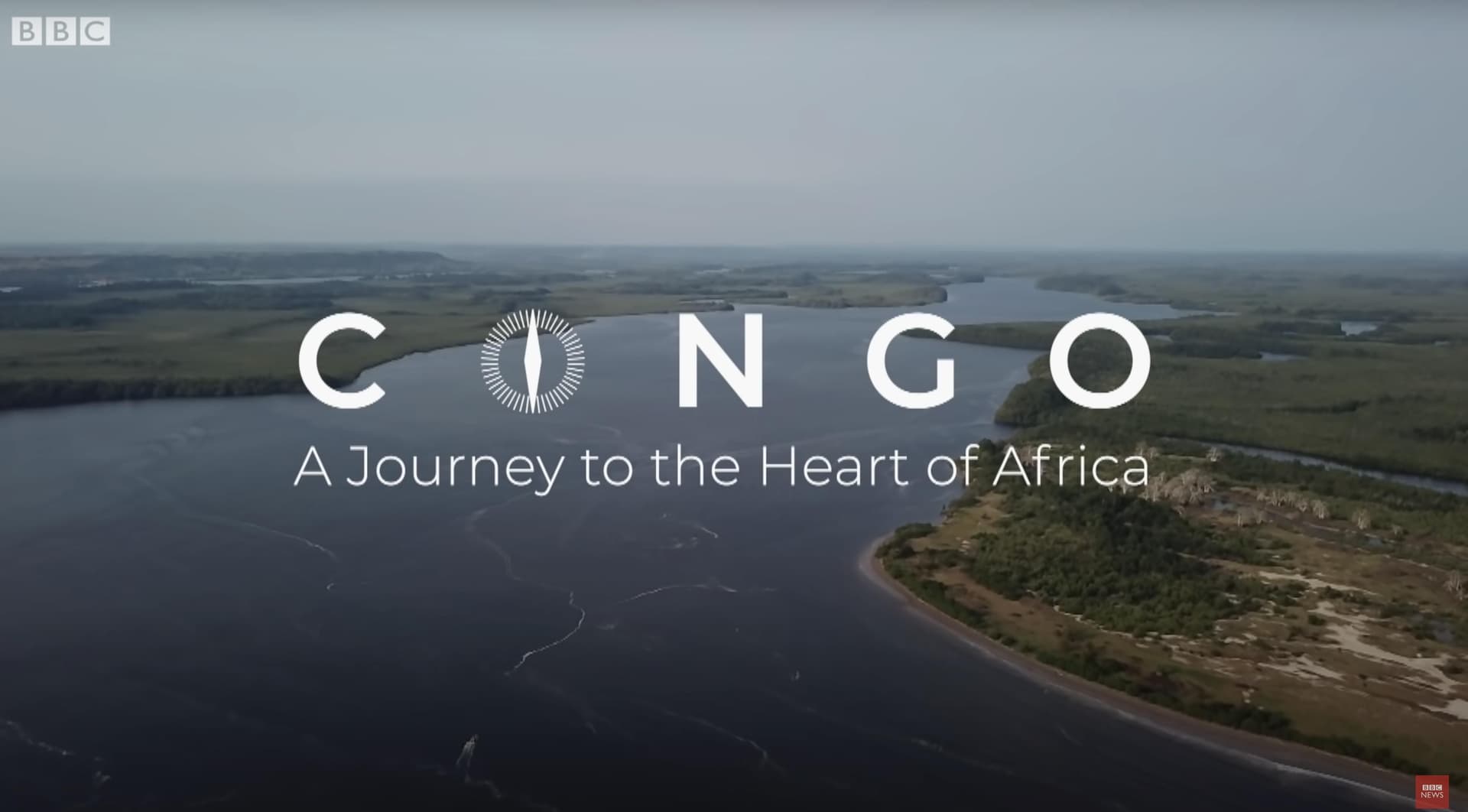 comgo rainforest.jpg