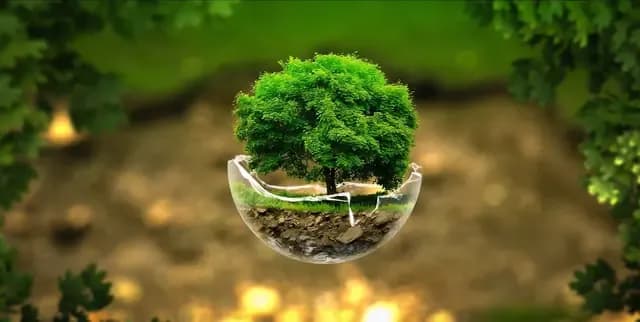 corporate-social-responsibility.webp