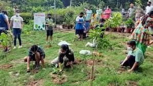 What is Afforestation