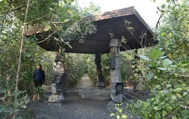 The Miyawaki Forest