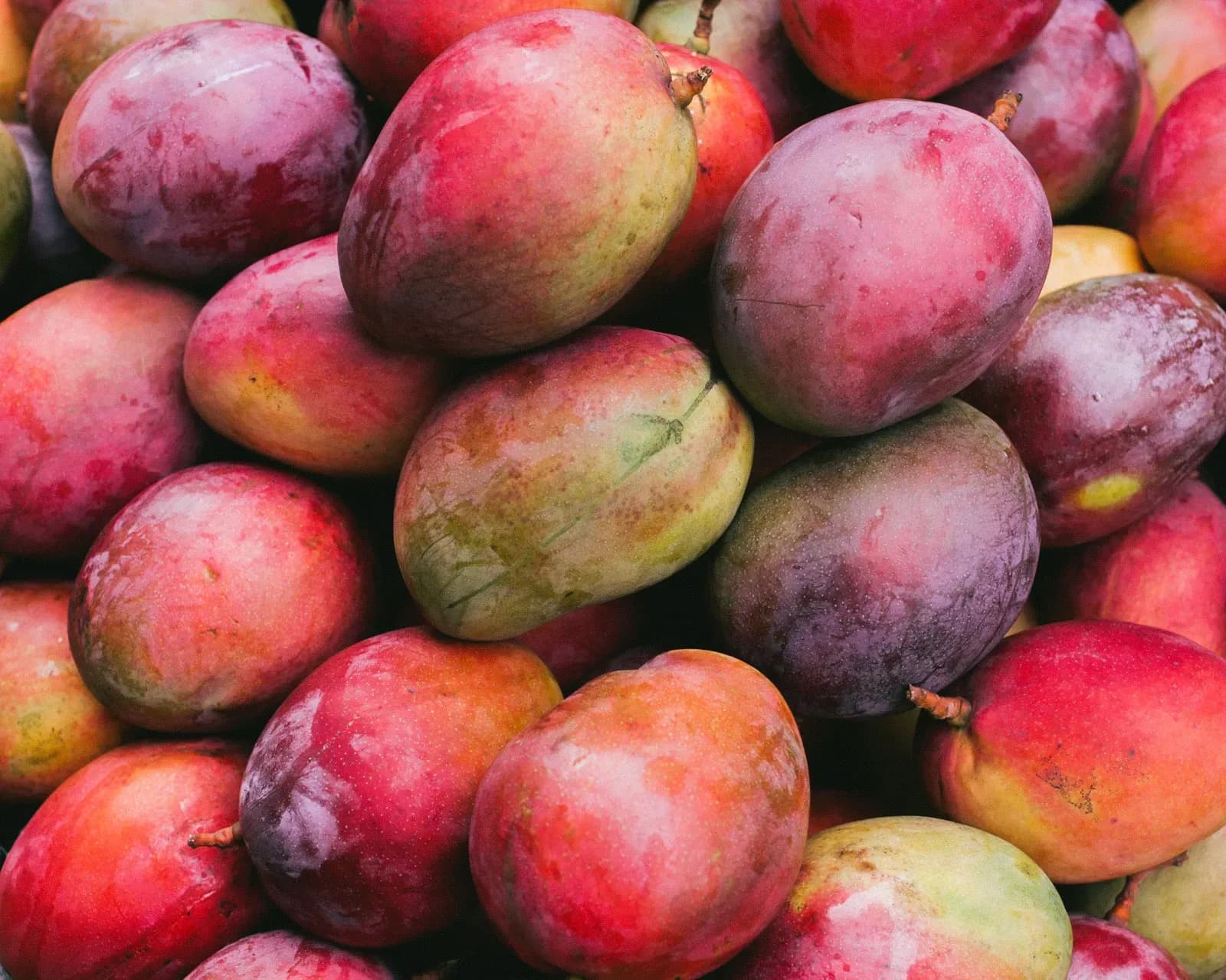 mango-fruits.webp