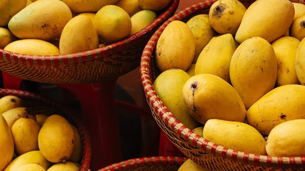 mangoes_what_to_know_1296x728_header-1024x575.webp