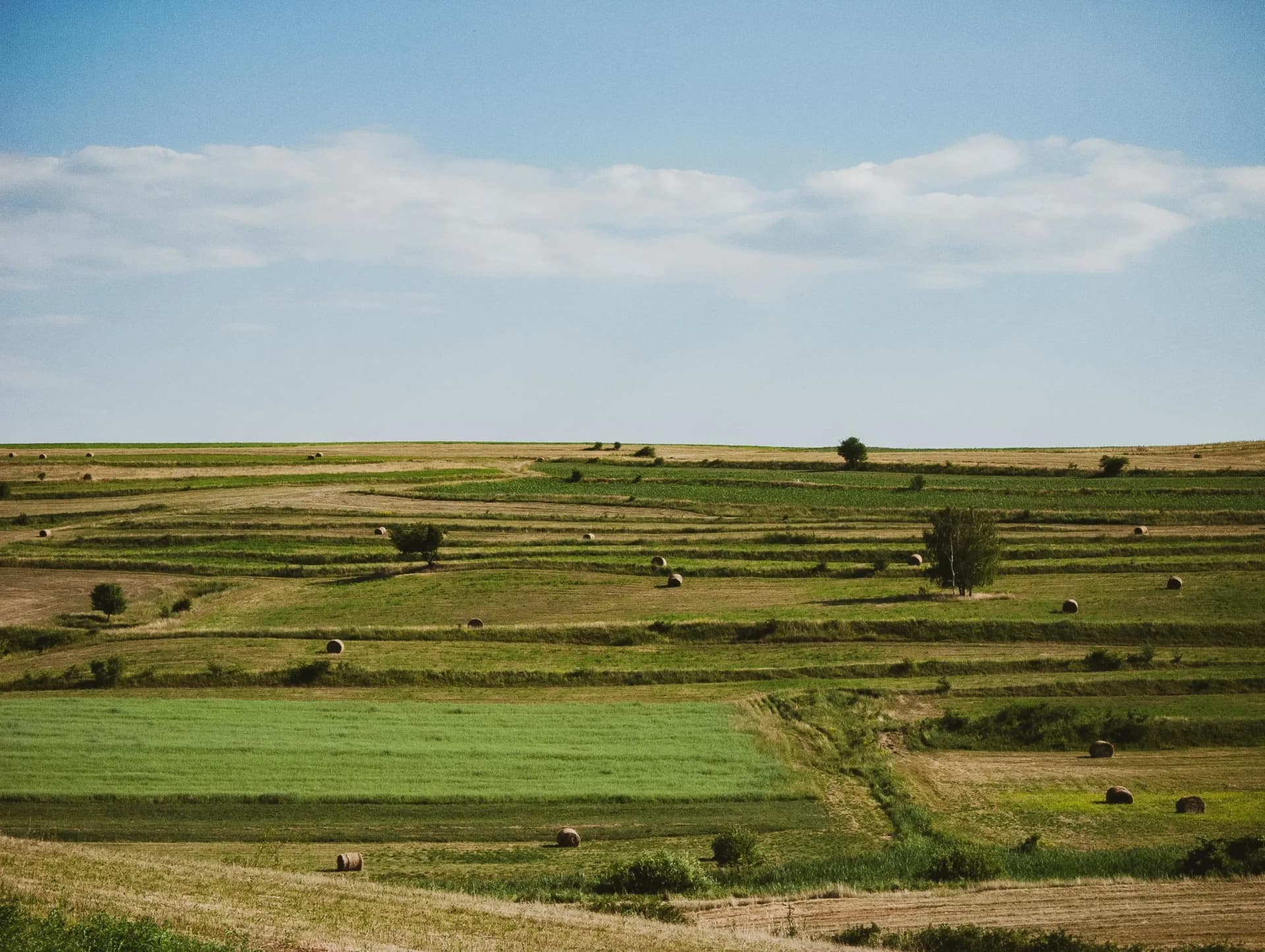 pexels-cosmin-gavris-2437254-32880342.webp