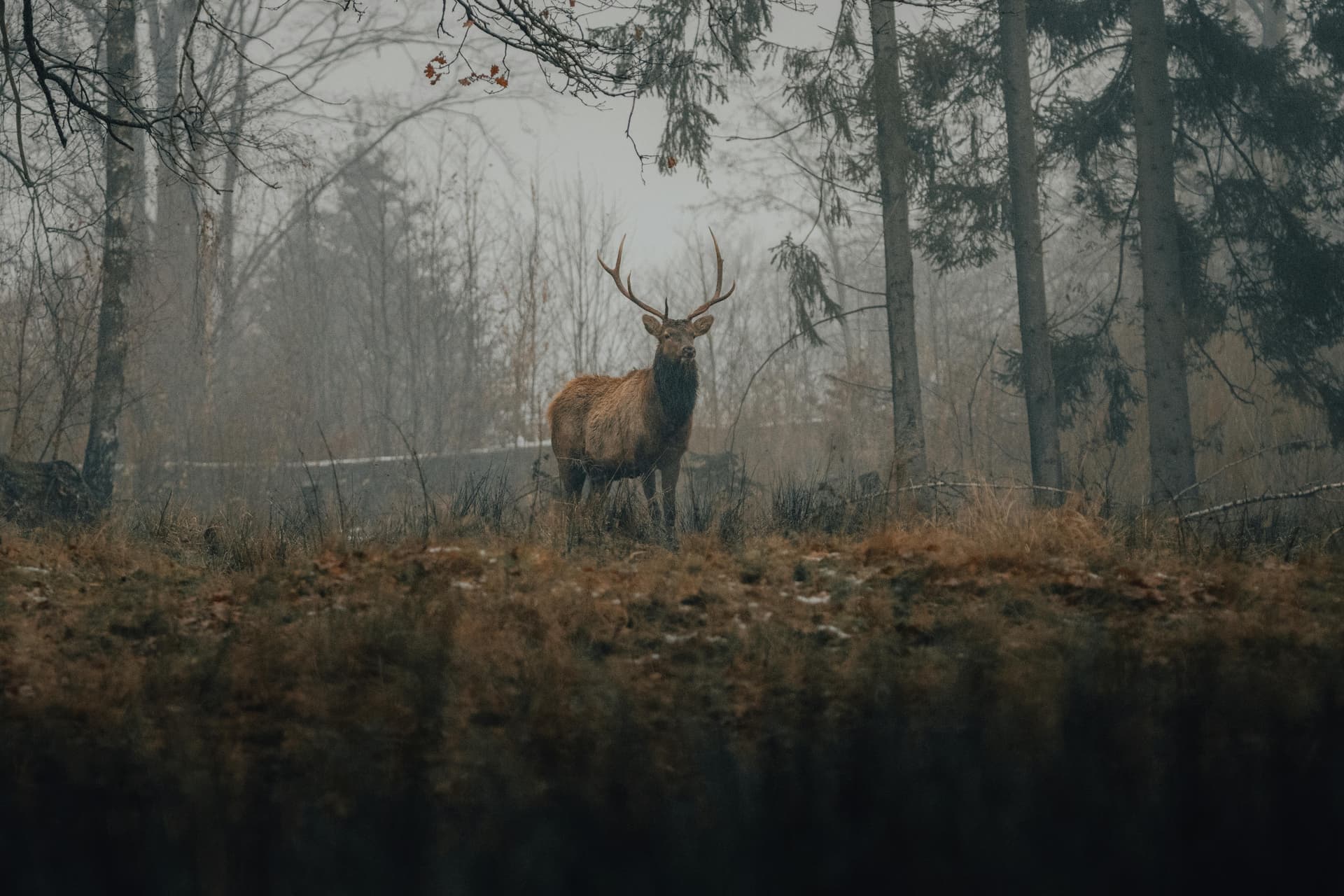 pexels-davidohboy-8100784.jpg
