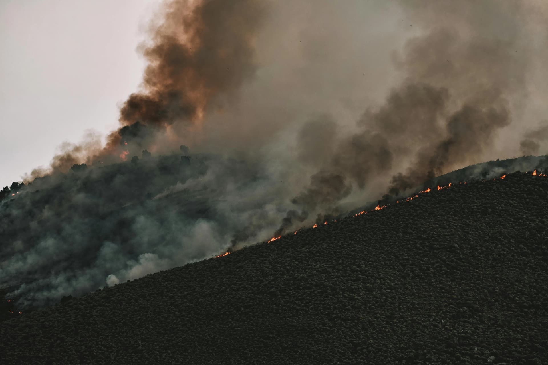 Climate Change: Causes, Global Effects, and How to Avoid It