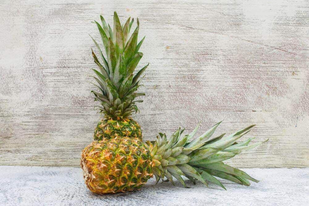 pineapple-life-cycle-2.jpg